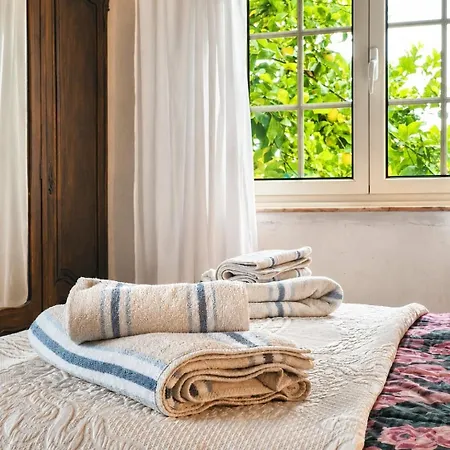 Casa vacanze Pogido Pet House *