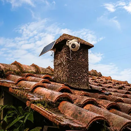 Pogido Pet House Arcos de Valdevez
